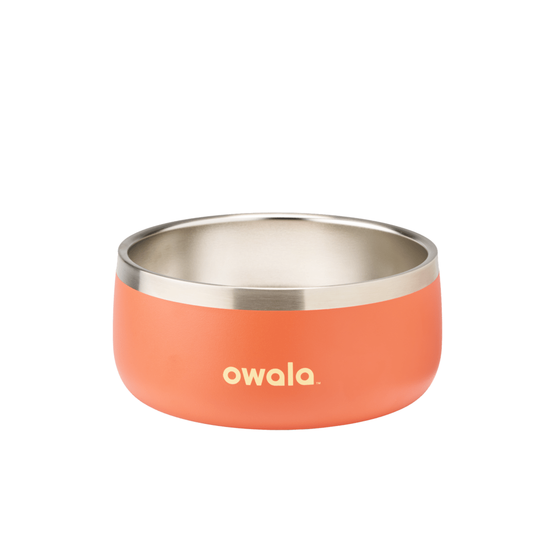 Pet Bowl OSQ