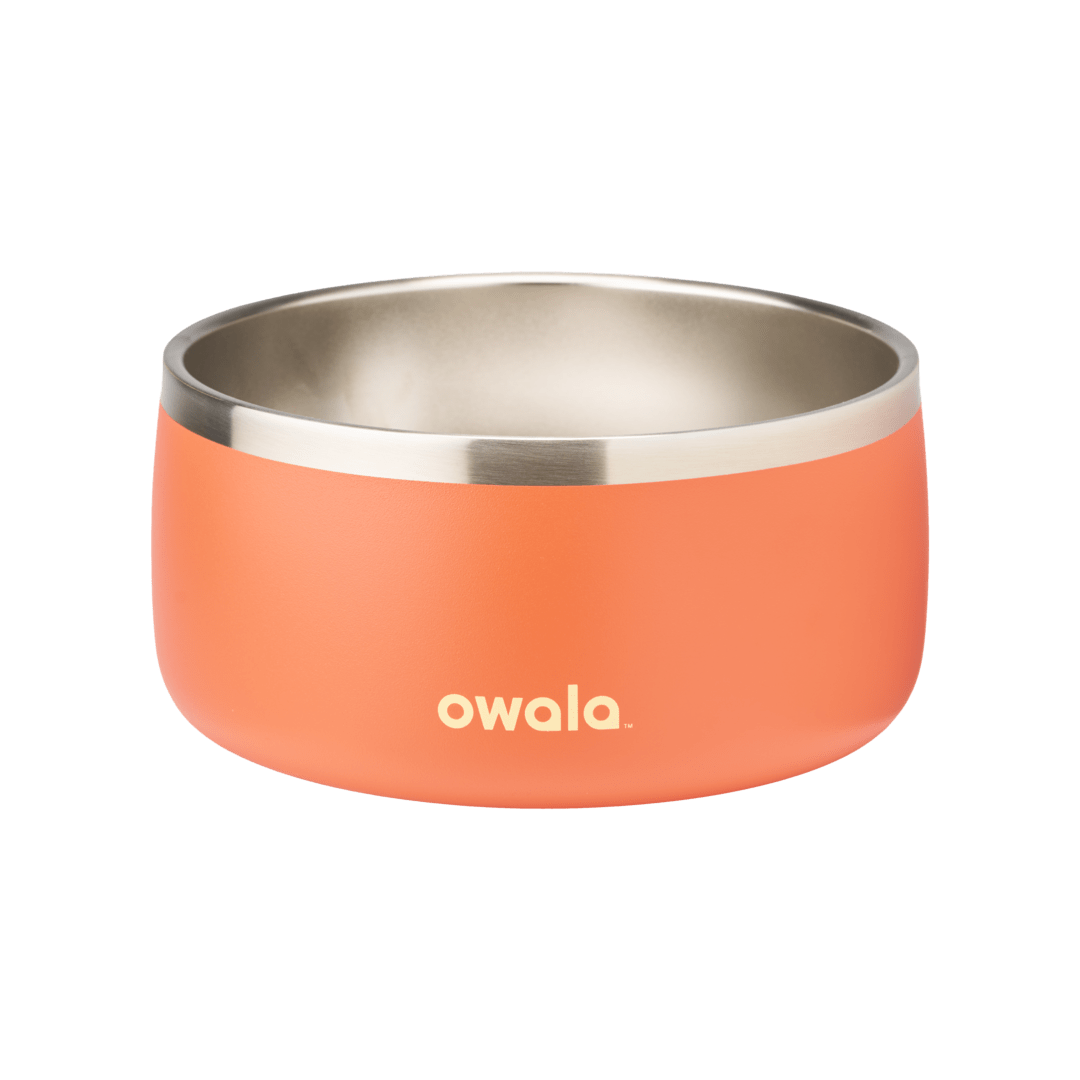 Pet Bowl OSQ
