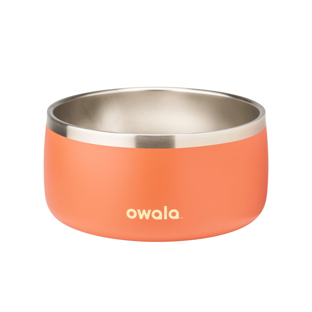 Pet Bowl OSQ