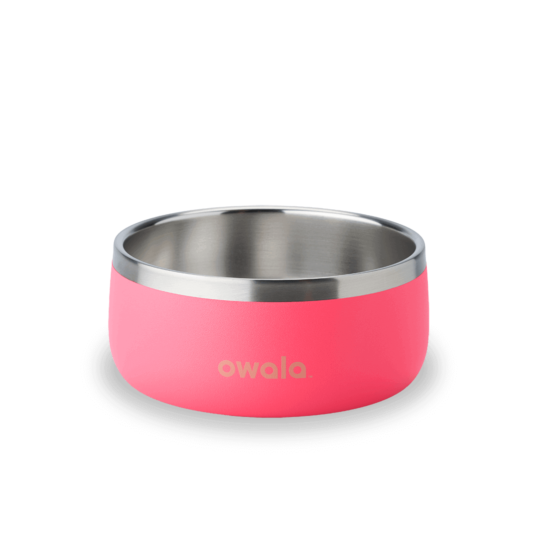 Pet Bowl OSQ