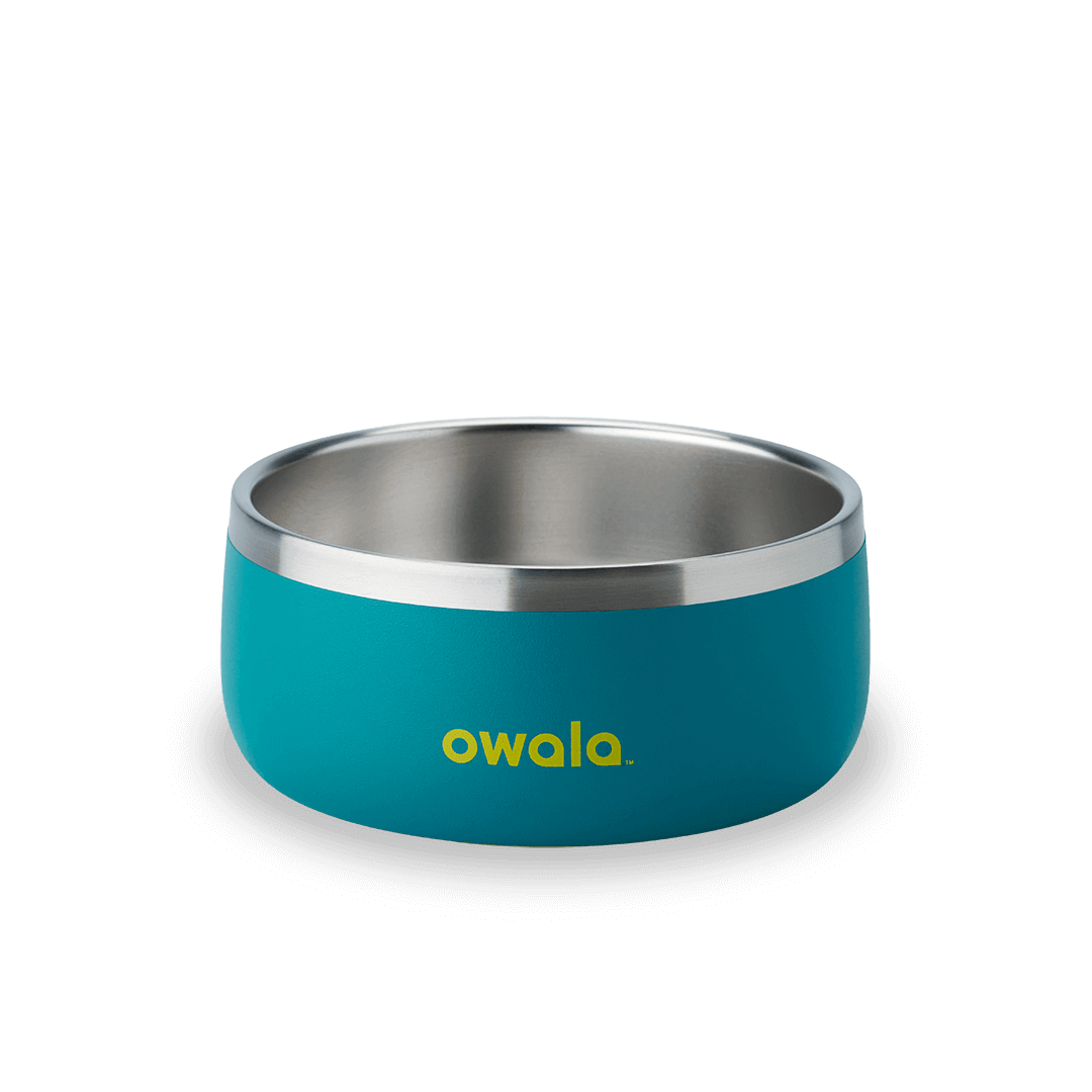 Pet Bowl OSQ