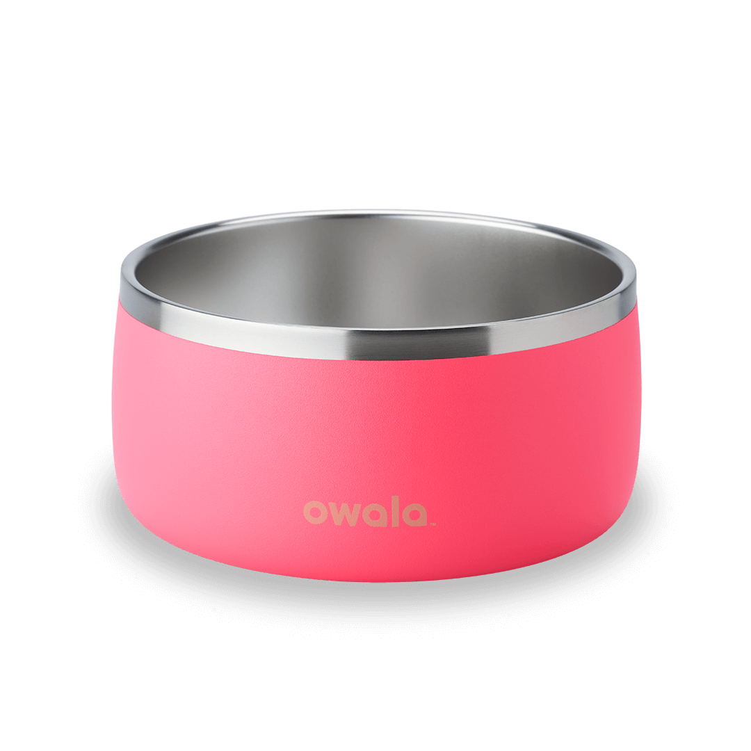 Pet Bowl OSQ